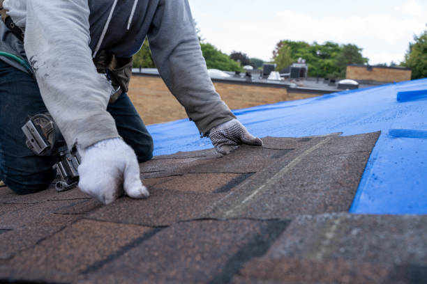 Best Storm Damage Roof Repair  in Hurley, WI
